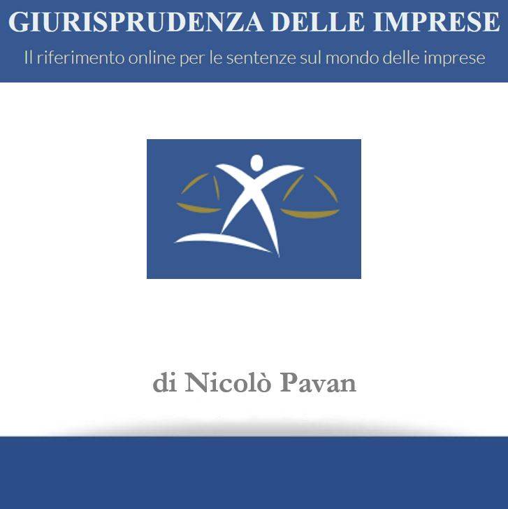 La responsabilit&#224; dell&#39;amministratore di fatto per i danni cagionati alla societ&#224; fallita